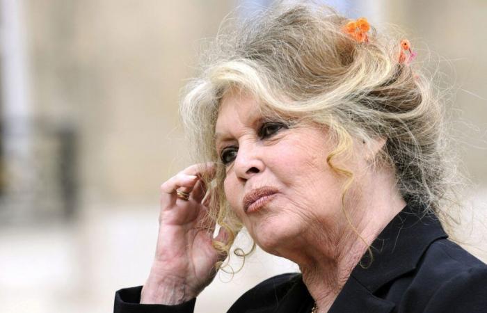 Brigitte Bardot denounces a “massacre” of chamois