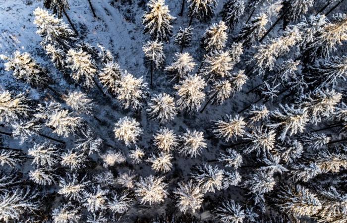 Weather forecast: the first snow of the year is expected