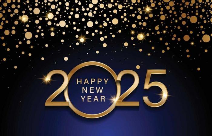 Best Wishes and Happy New Year 2025 from Army Recognition Team!