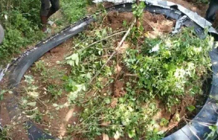 Ring rocket crashes in Kenya on New Year's Day