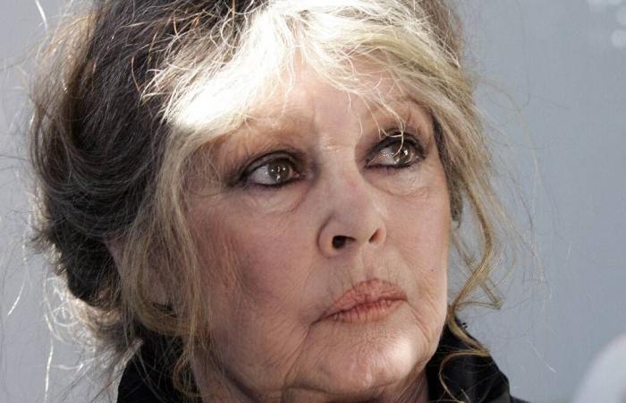 “Nothing ever stops the hunters”: Brigitte Bardot denounces a “massacre” of chamois in the Doubs