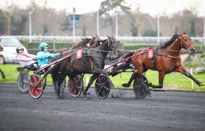 PMU – Arrival of the quinté on Wednesday January 1 at Paris-Vincennes: Jabalpur fulfills its contract