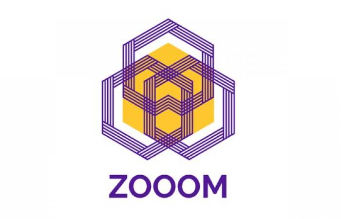 Two years of the ZOOOM project in Europe: what results?