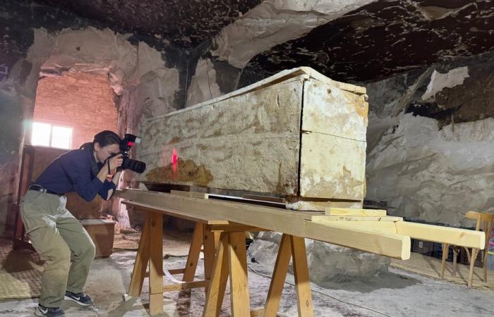 Researchers discover a sarcophagus in Egypt, “on the last day of excavations and by chance”