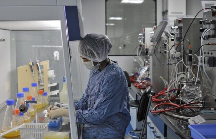 Biocon Biologics will build a production site in Casablanca