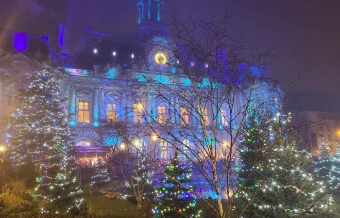 Tour Info | In 2025, good tips for getting rid of your Christmas tree in Indre-et-Loire