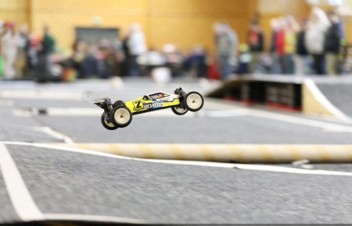 enthusiasts of radio-controlled cars, this association is made for you!