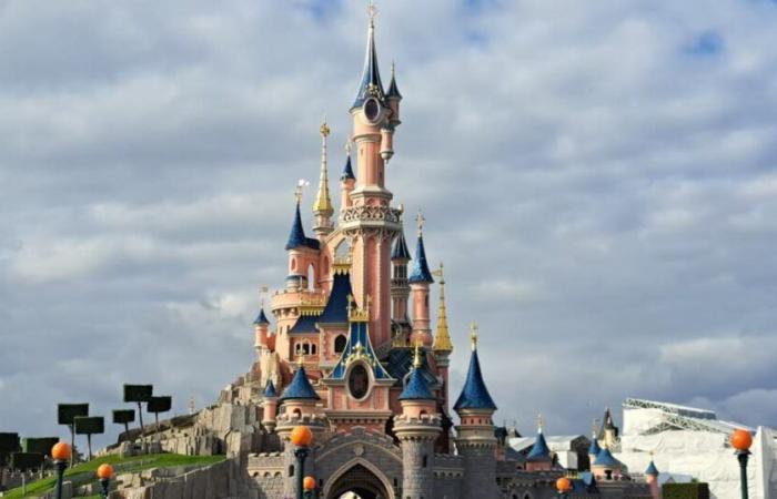 Rhone. Disneyland Paris is recruiting in Lyon, 7,000 contracts to be filled﻿