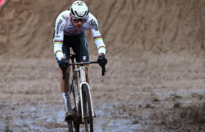 Grand Prix Sven Nys – Mathieu van der Poel, plowing star and undefeated this winter, a recipe that works