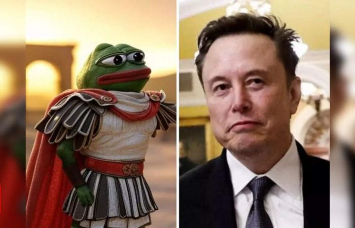 Elon Musk’s ‘new name’ has led to an unprecedented 900% jump in the value of this Crypto memecoin