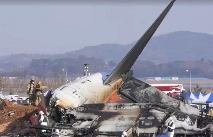 Crash in South Korea: sending a Boeing black box to the United States for analysis, first data extracted… where is the investigation?