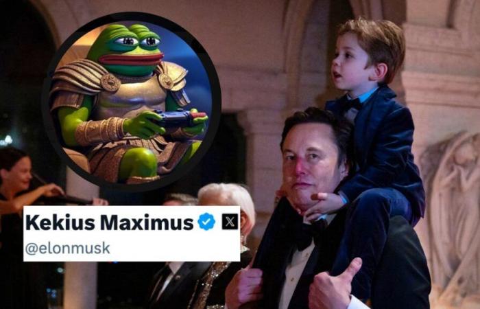 On X, Elon Musk changes his nickname and becomes Kekius Maximus