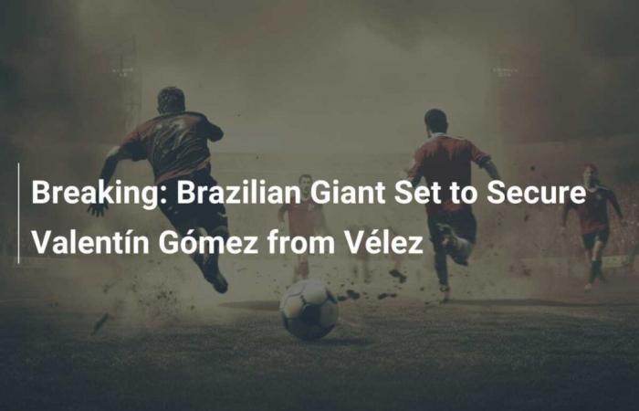 Urgent: The Brazilian giant ready to secure Valentín Gómez de Vélez