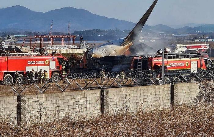 Boeing 737 crash in South Korea: these gray areas surrounding the accident