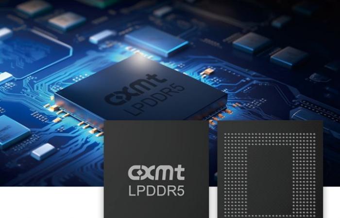 DRAM prices expected to see a sharp drop of 13% in the first quarter of 2025, with PC memory driving the market slowdown