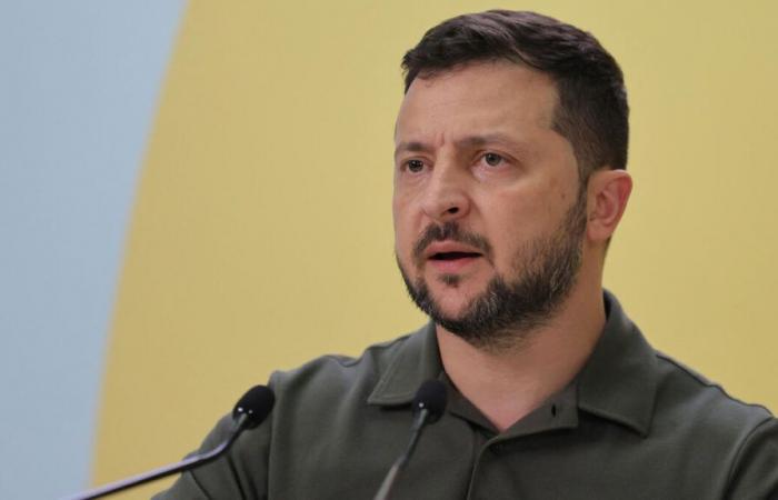 Ukraine: Zelensky wants to fight in 2025 on the “battlefield” and at the “negotiation table”