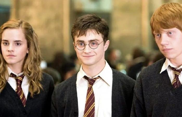 Did you know that this star of the Harry Potter saga was in a relationship with this other actor from the films?