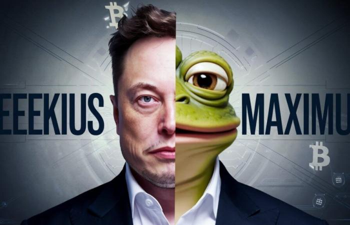 Elon Musk Disappoints by Becoming “Kekius Maximus” on X