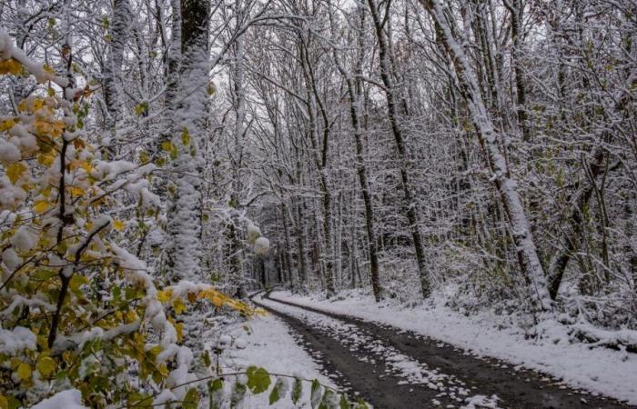 Snow could return this Thursday in Luxembourg