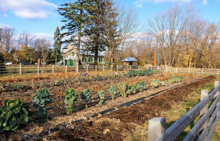 From dream to reality | Tour de force in Saint-Laurent