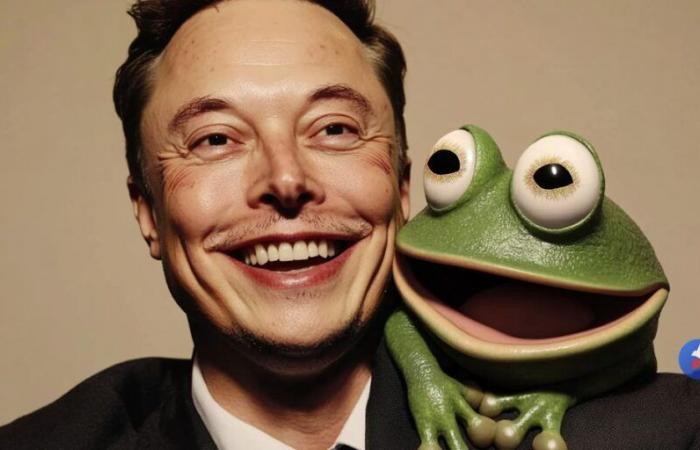 Elon highlights Pepe, what other x10 memecoin could he promote soon?