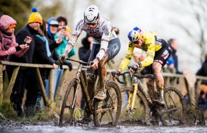 Organization Grand Prize Sven Nys takes no risks on New Year’s Day: “Nothing is set up that is dangerous in strong winds”