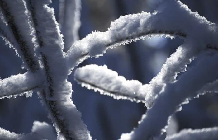 Snowflakes expected this Thursday in Haut-Rhin