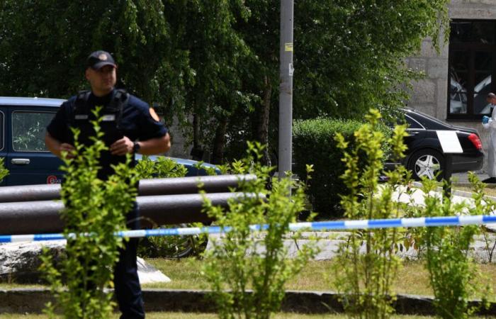 Montenegro: at least 10 people, including two minors, killed in a shooting in a restaurant