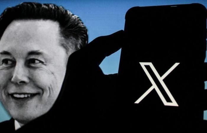 joke, hidden message… how Elon Musk creates buzz on X