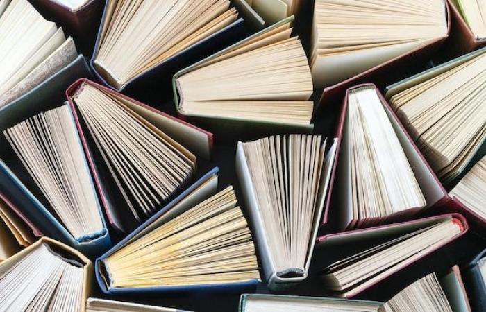 The 10 most borrowed French books in Winnipeg