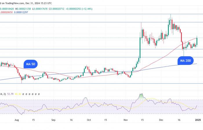 PEPE Skyrockets 16% in Hours; Here Are Two Reasons