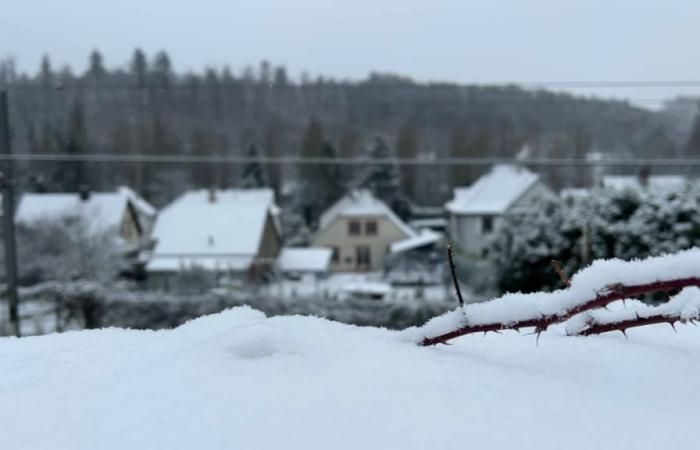 flakes expected in the east of the country this Thursday, up to “10 to 20cm” of powder in the mountains