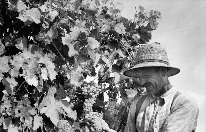 Humanist Charentes in the eye of great photographers