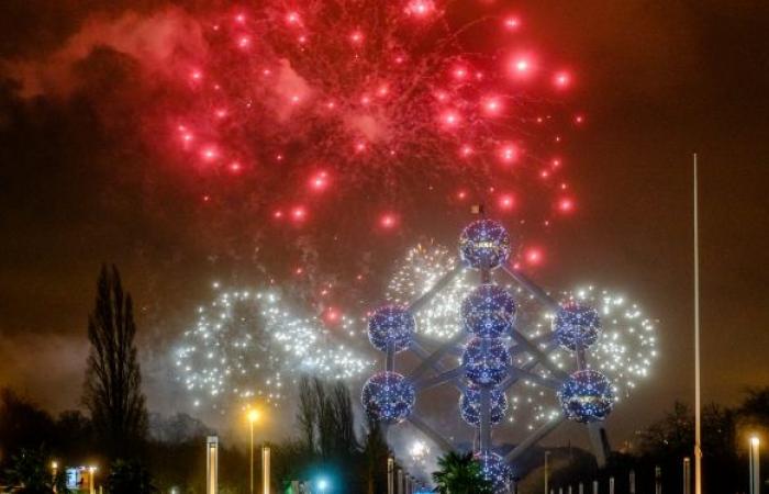 50,000 spectators gathered in Brussels for the New Year’s fireworks: images of a “wonderful” show