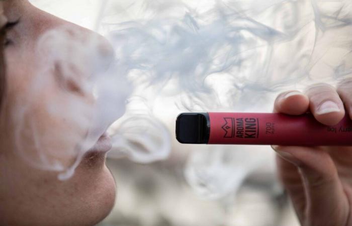 Disposable electronic cigarettes “puffs” banned from January 1, 2025 in Belgium… and soon in France