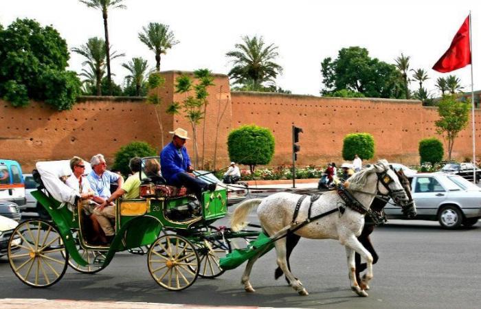 Jamaa El-Fna square expels carriages