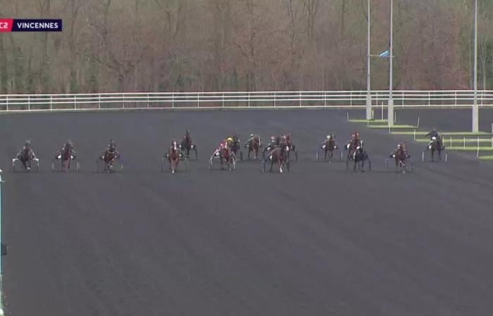 PRIX DE SAINT-DENIS – PARIS-VINCENNES – 12/31/2024: starters, predictions and results in videos – Race 2