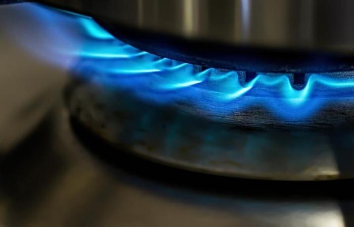 Senegal and Mauritania take a step towards exploiting their common gas field