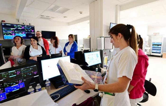 Hospital center, shelters, firefighters… the tour of childcare services for New Year's Eve in Carcassonne