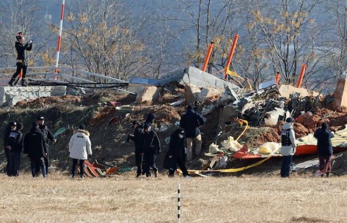 investigators analyze plane crash site