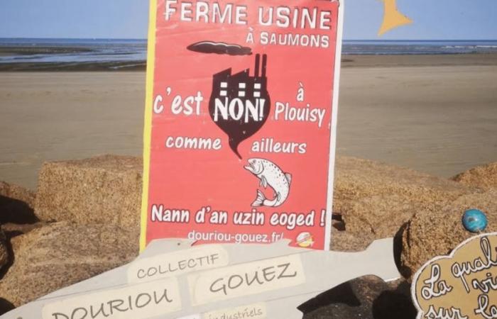 No salmon factory farm in Breton fields – vert.eco