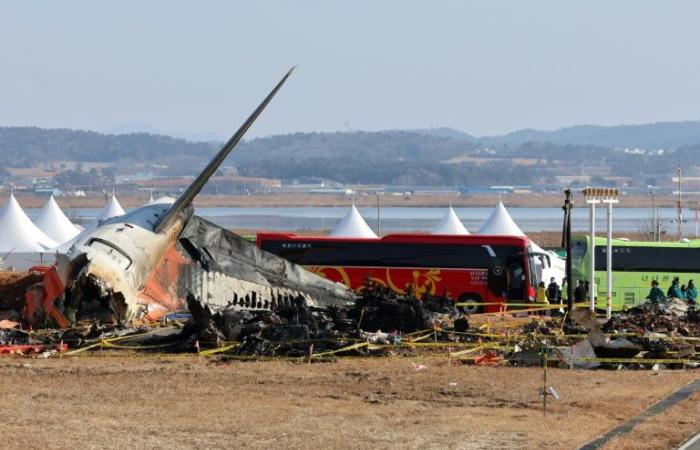 South Korea: search at Muan airport after the crash of a Jeju Air Boeing