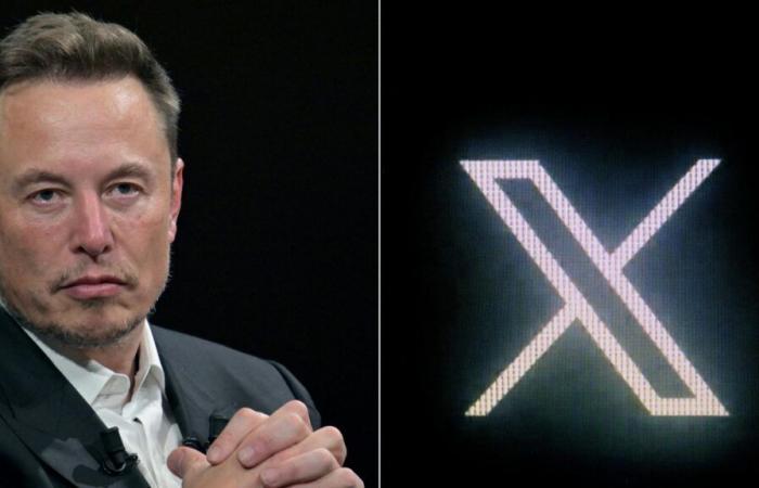 Elon Musk changes identity on X by adopting the internet codes of the extreme right