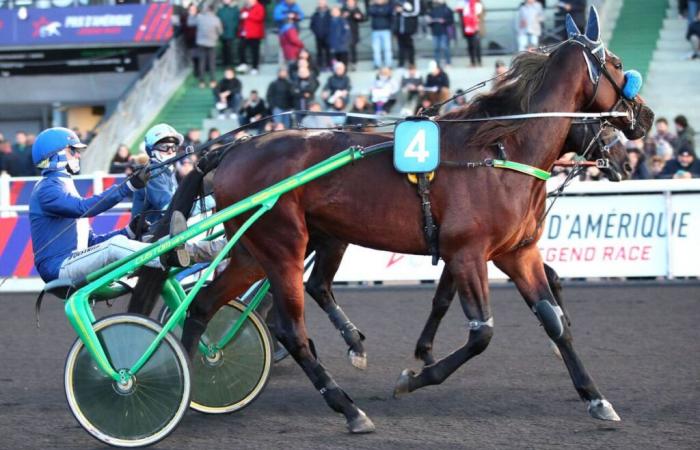 Friday at Vincennes-Prix Hersilie: A formidable Italian coalition