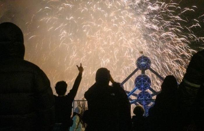 50,000 spectators gathered in Brussels for the New Year’s fireworks: images of a “wonderful” show