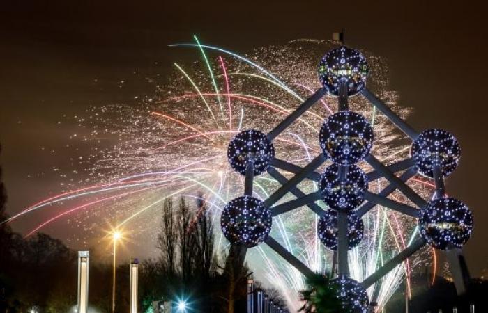 50,000 spectators gathered in Brussels for the New Year’s fireworks: images of a “wonderful” show