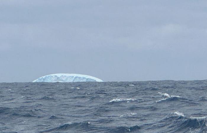 Vendée Globe 2024. “Oh my, that’s scary”, the skippers’ race disrupted by drifting icebergs