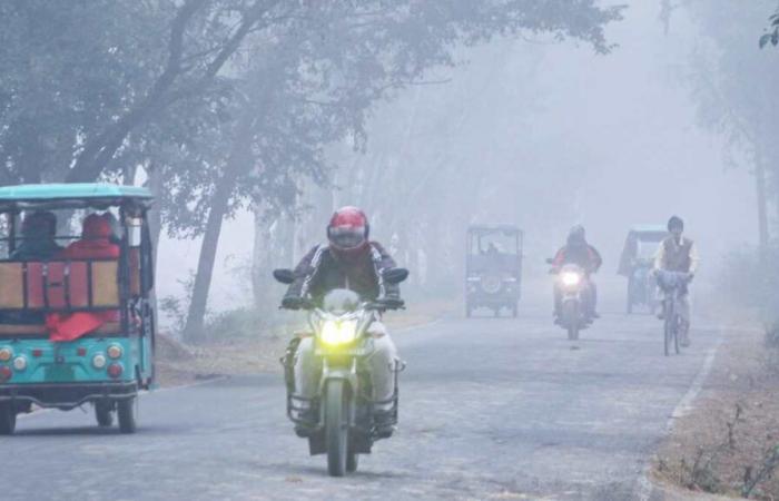 Temperature, AQI Warning, IMD Forecast For Next 7 Days News24 –