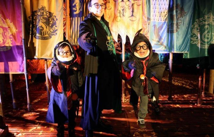 “Expecto patronum”: disguised or not, Harry Potter fans flock to Montauban to enjoy a unique experience