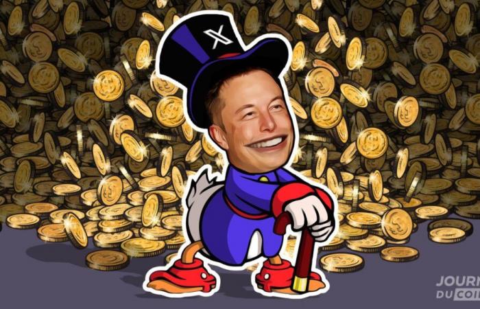 Memecoin: $66 transformed into $3 million thanks to Elon Musk